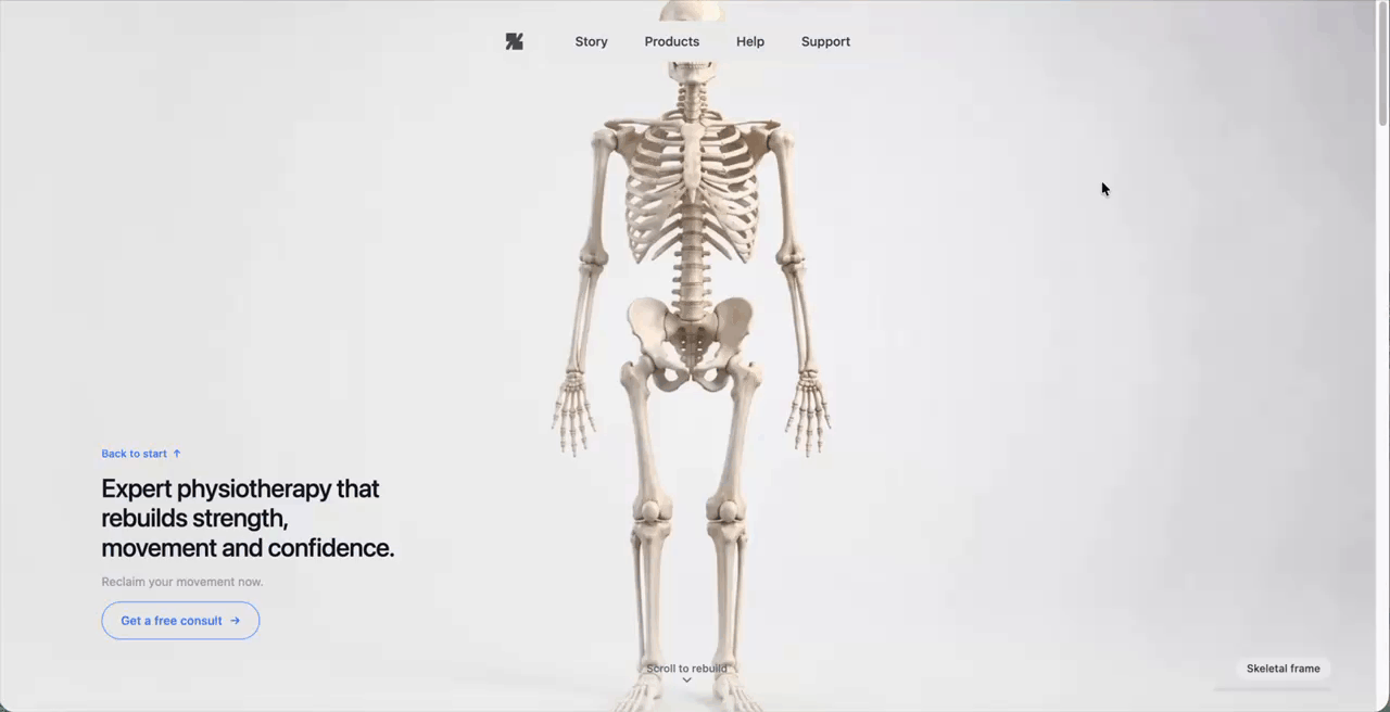 Physio website demo